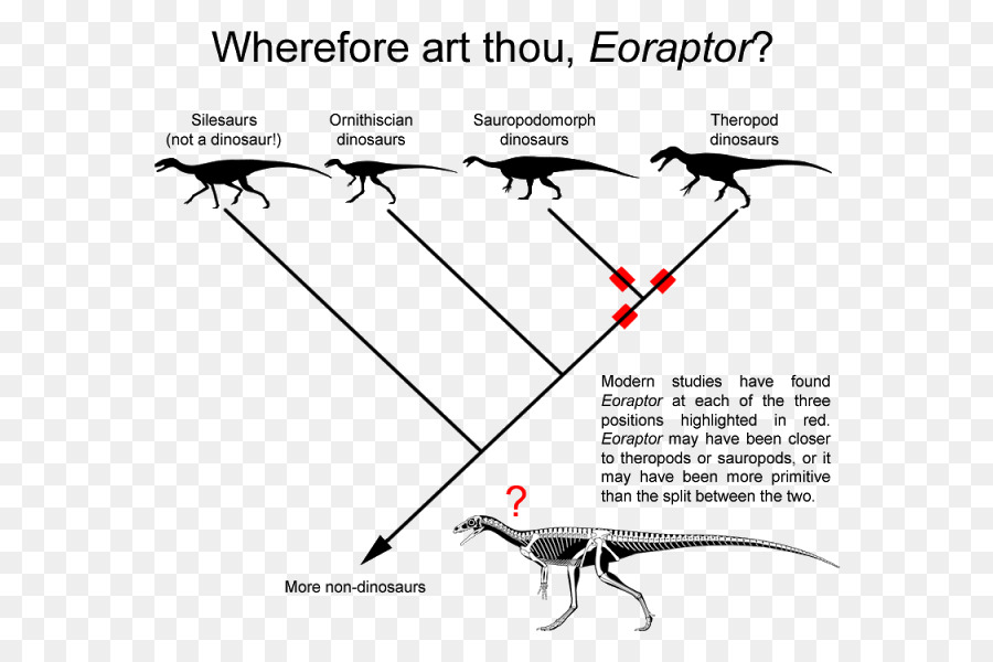 Eoraptor Lunensis，Karnotorus PNG