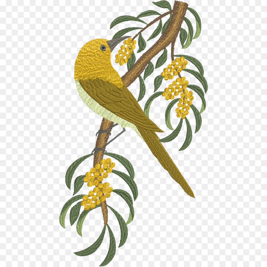 Kuş，Kakadu PNG
