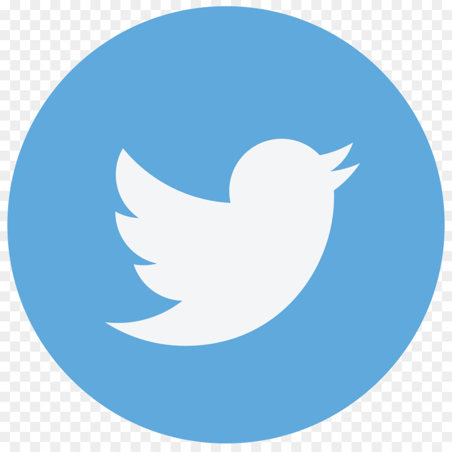 Twitter Logosu，Kuş PNG