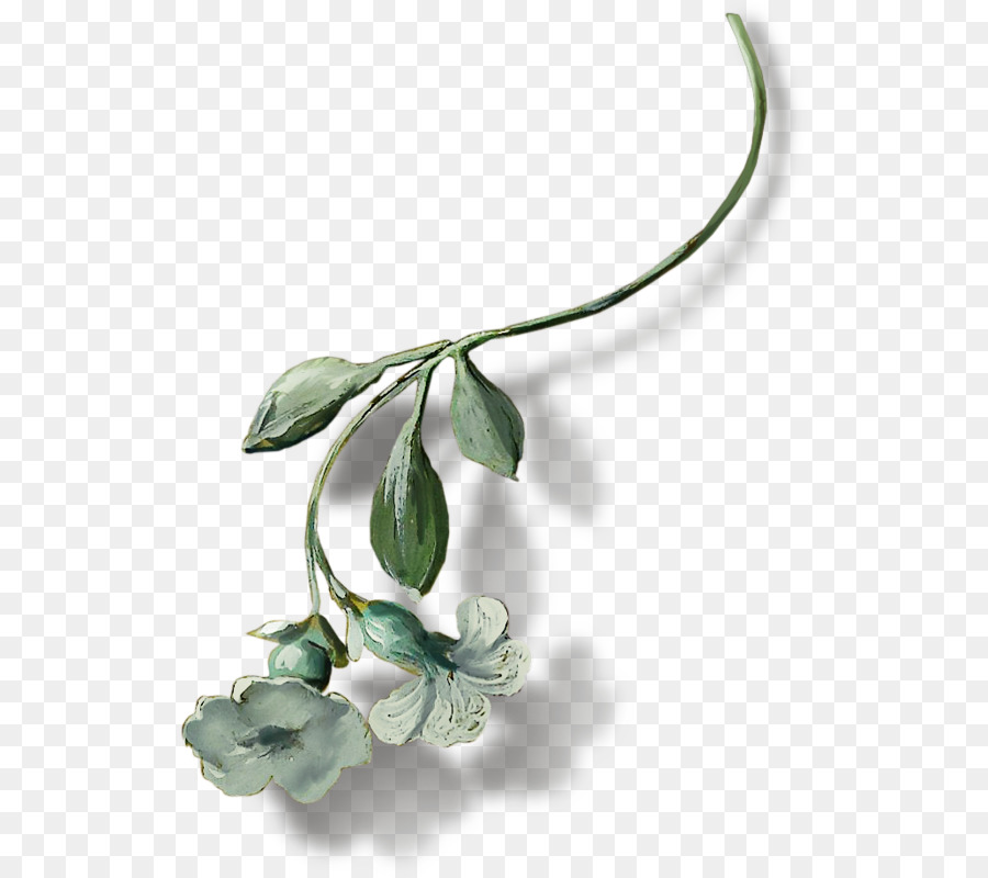 çiçek，Bodrum PNG