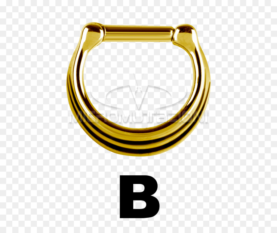 Septum Delici，Hesteskobarbell PNG