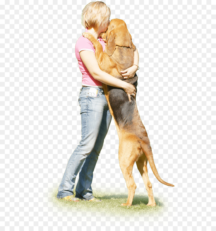 Köpek ırkı，Köpek Yavrusu PNG