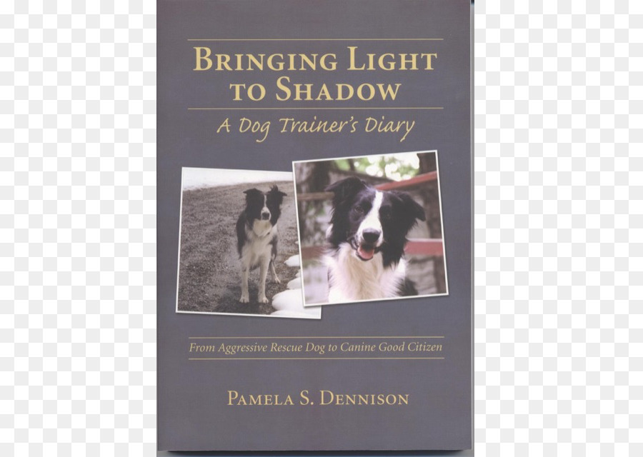 ışık Tutan Bir Köpek Eğitmeni Günlüğü Gölge，Gölge ışık Getiriyor PNG