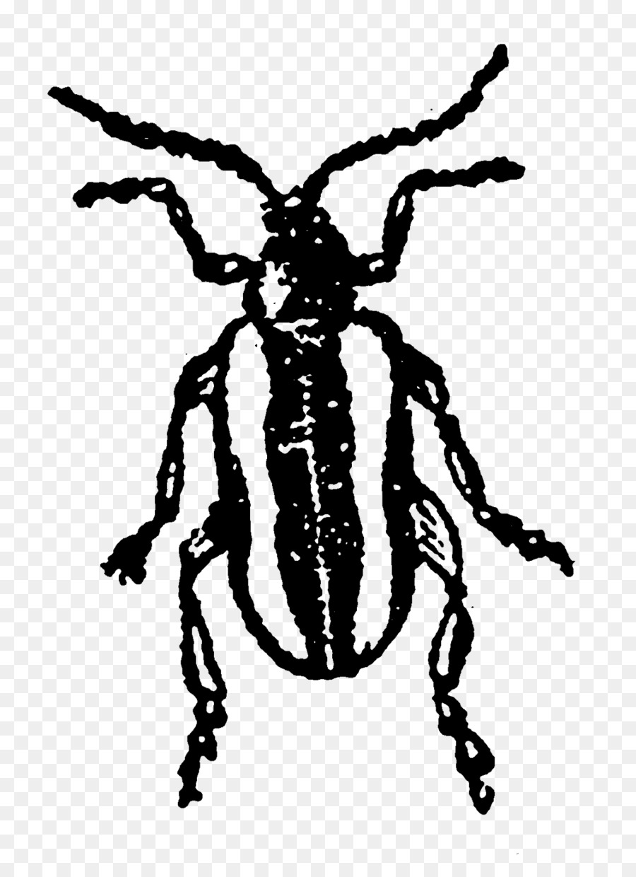 Böcek，Tozlayıcı PNG