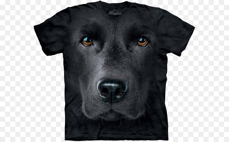 Tshirt，Labrador Retriever PNG