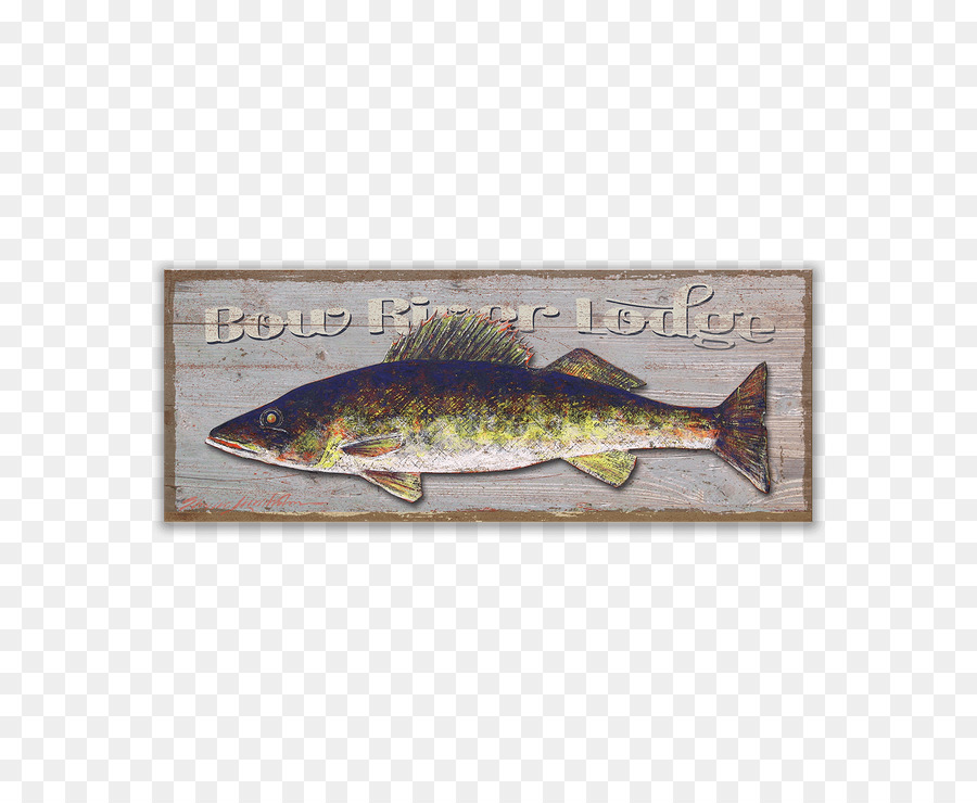 Walleye，Walleye Balıkçılık PNG