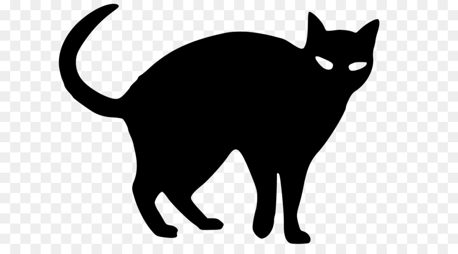 Siyah Kedi，Kedi PNG