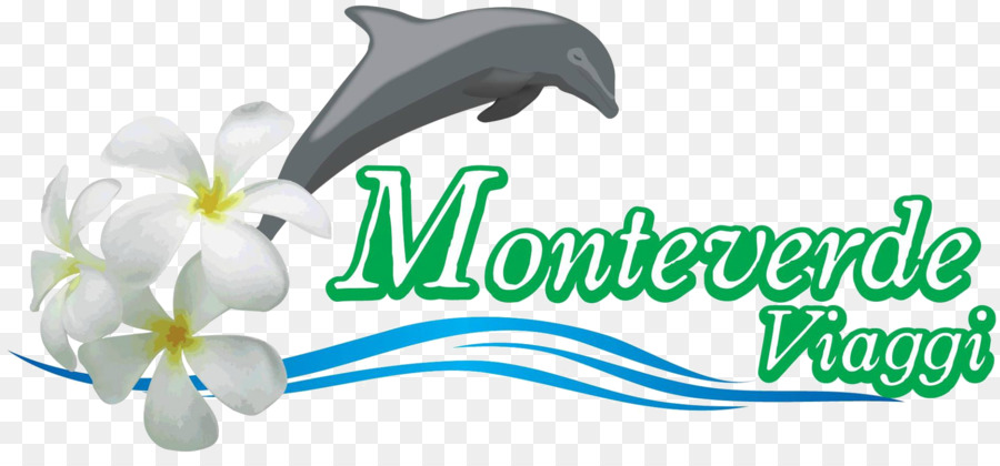 Monteverde Seyahat Srl，Seyahat Acentası PNG