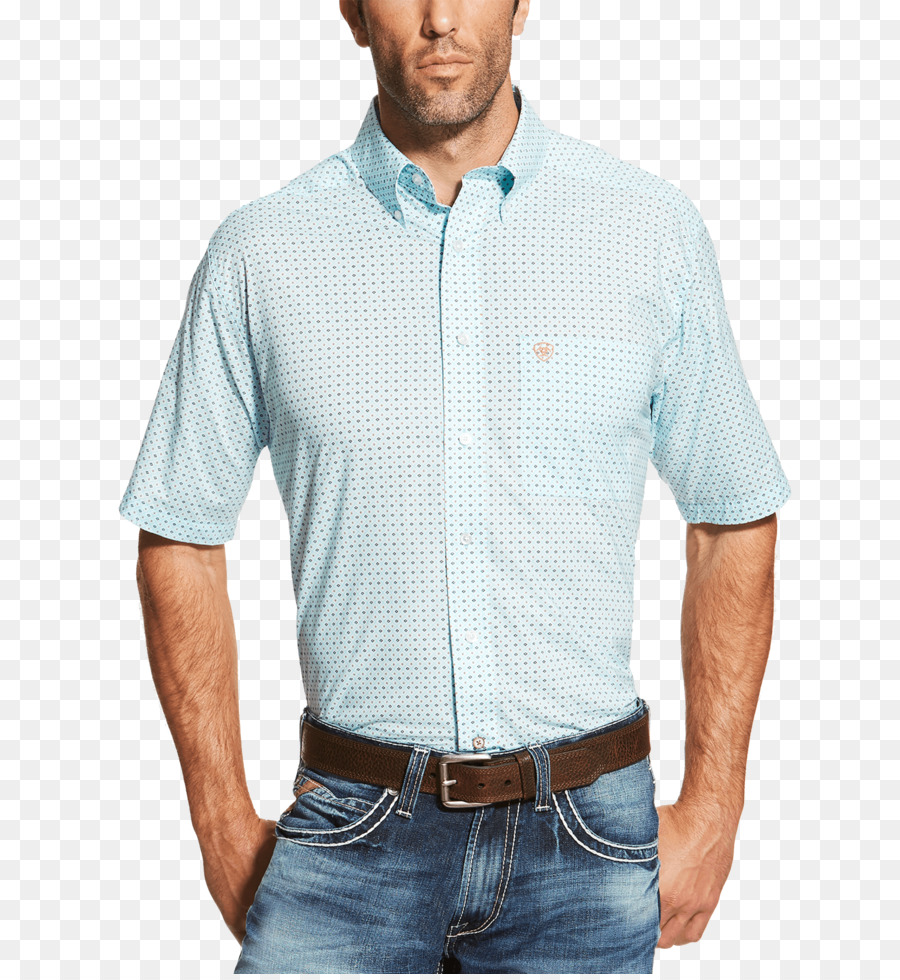 Polo Gömlek，Tshirt PNG