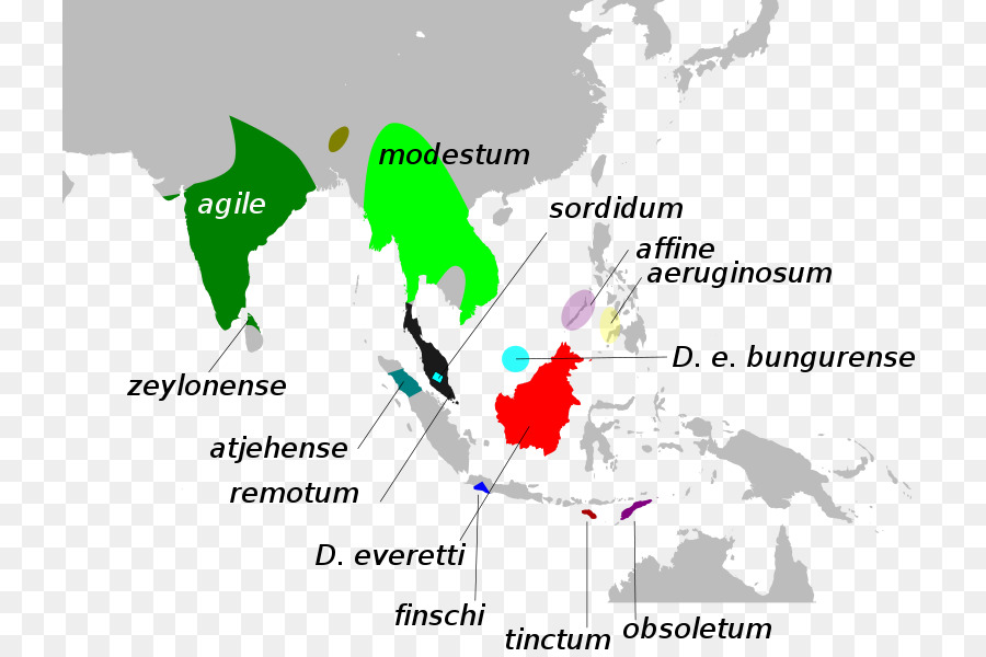 Güneydoğu Asya，Asean Ekonomik Topluluğu PNG