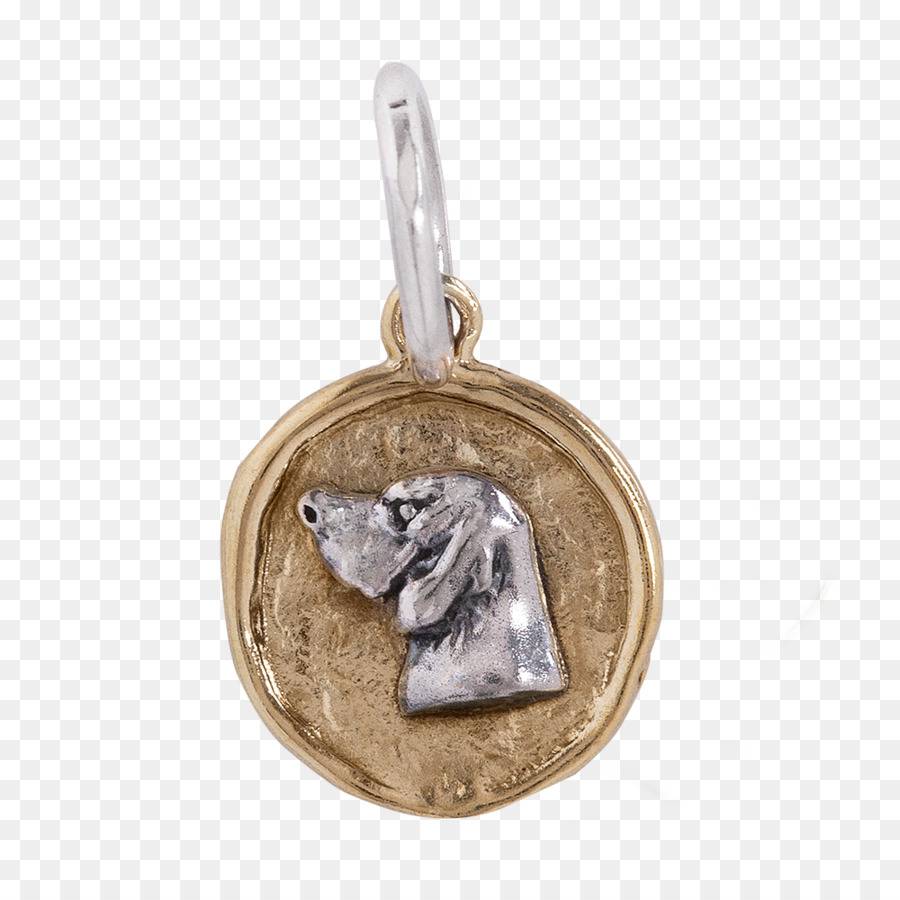 Gümüş，Madalyon PNG