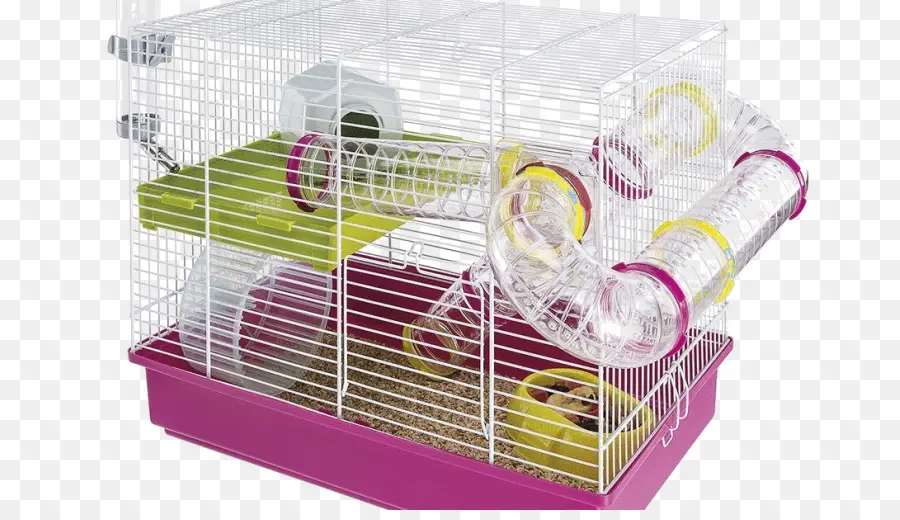 Hamster Kafesi，Hamster PNG