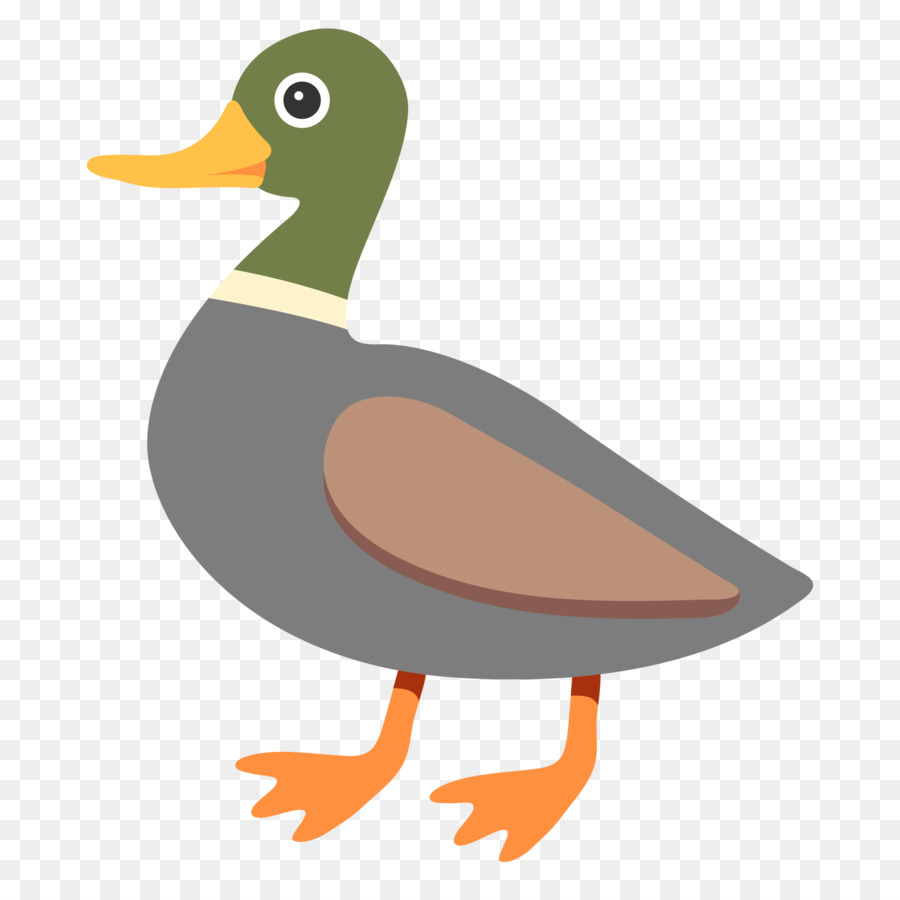 Yeşilbaş，ördek PNG
