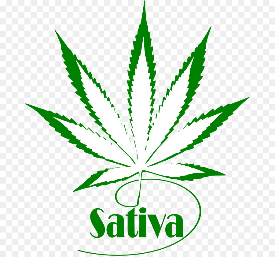 Sativa Yaprağı，Esrar PNG