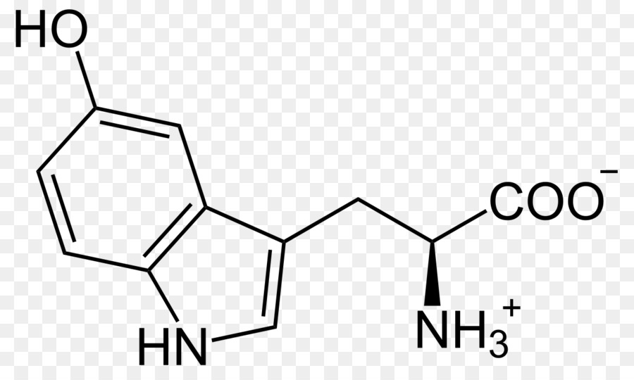 5hydroxytryptophan，Triptofan PNG