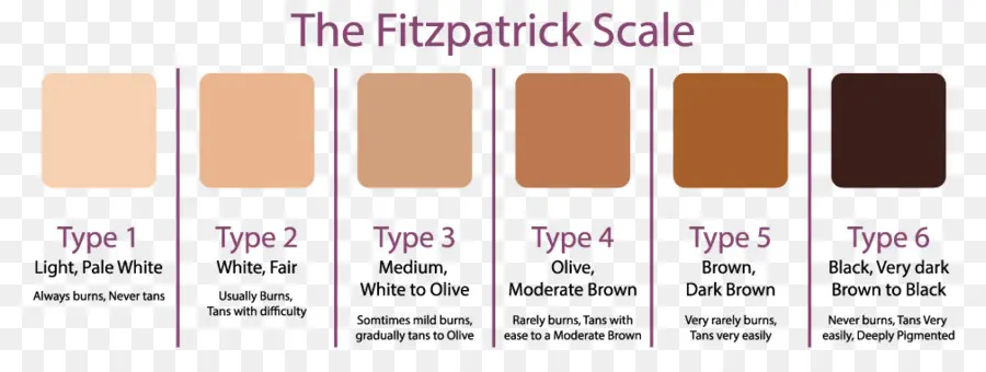 Fitzpatrick ölçeği，İnsan Deri Rengi PNG