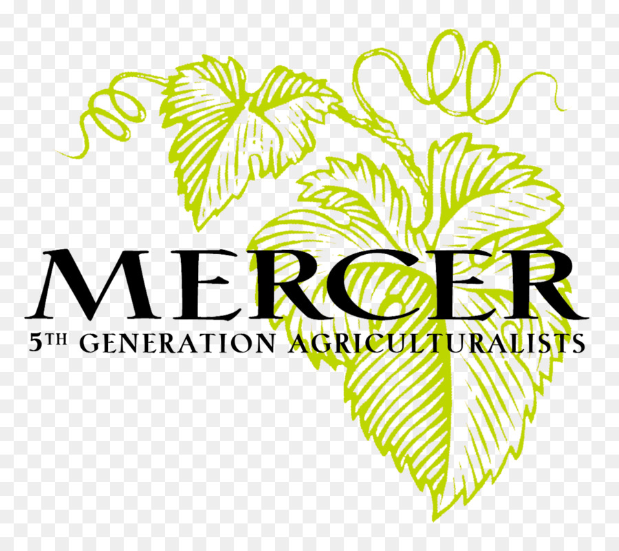 Mercer şarap Emlak，Hüseyin Sevimli PNG