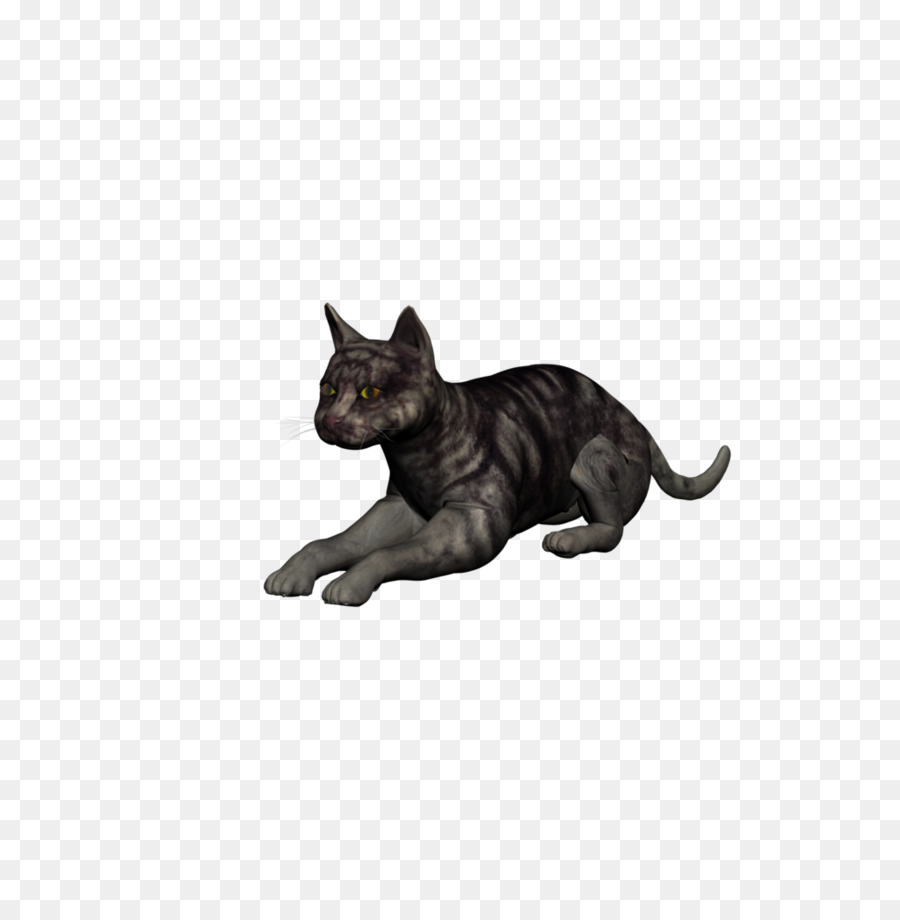 Bıyıkları，Kedi PNG