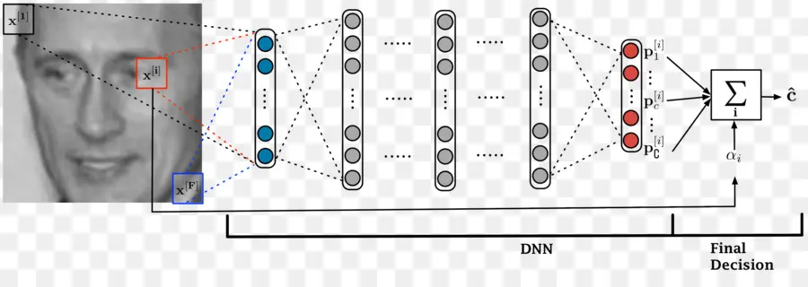 Sinir Ağı Şeması，Yüz PNG