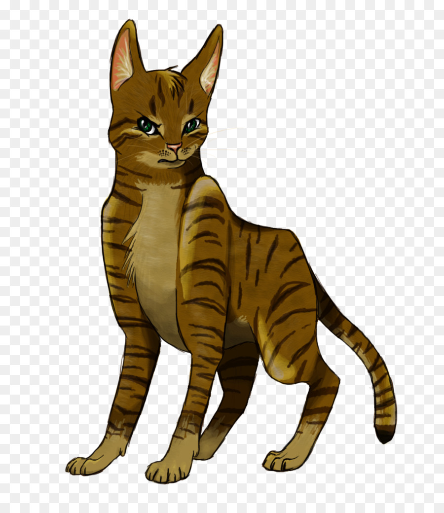 Benekli Kedi，Kedi PNG