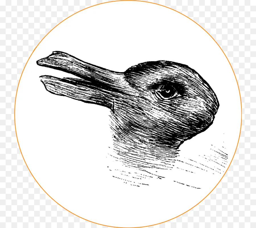 ördek，Rabbitduck Yanılsama PNG