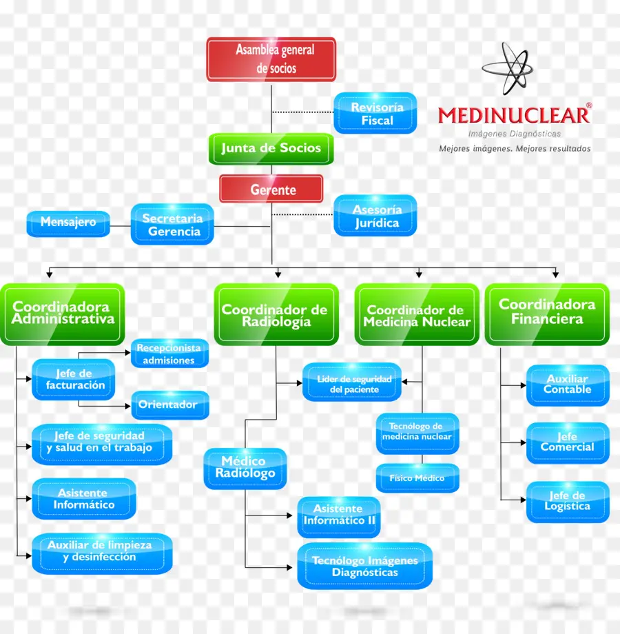 Organizasyon Şeması，Yapı PNG