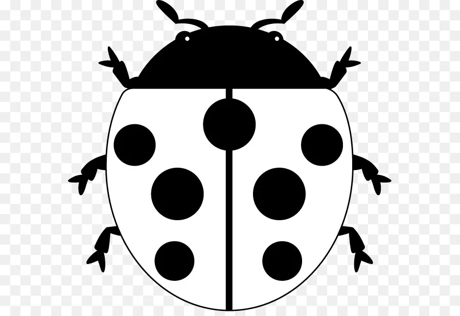 Ladybird Böceği，Böcek PNG