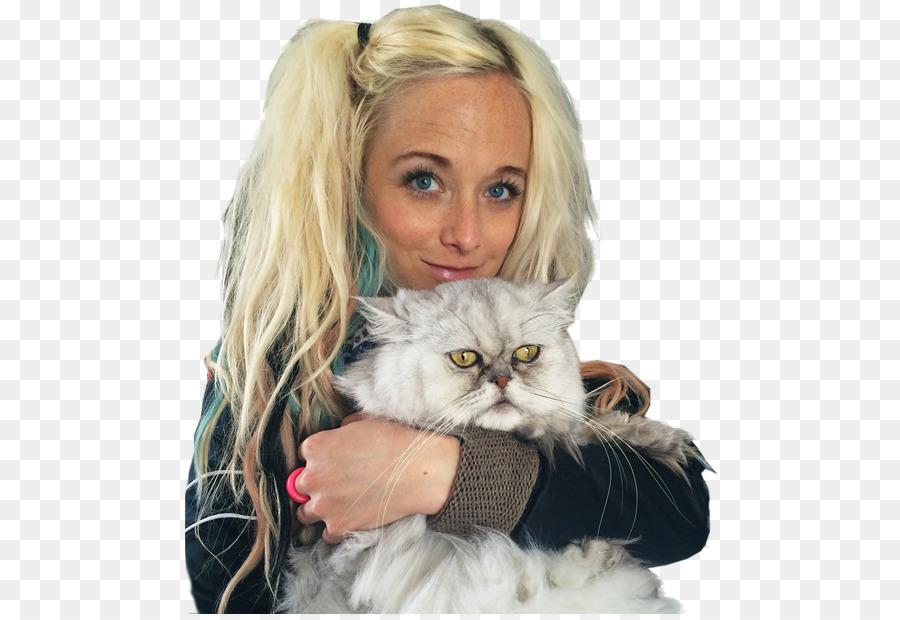 Bıyıkları，Kedi PNG