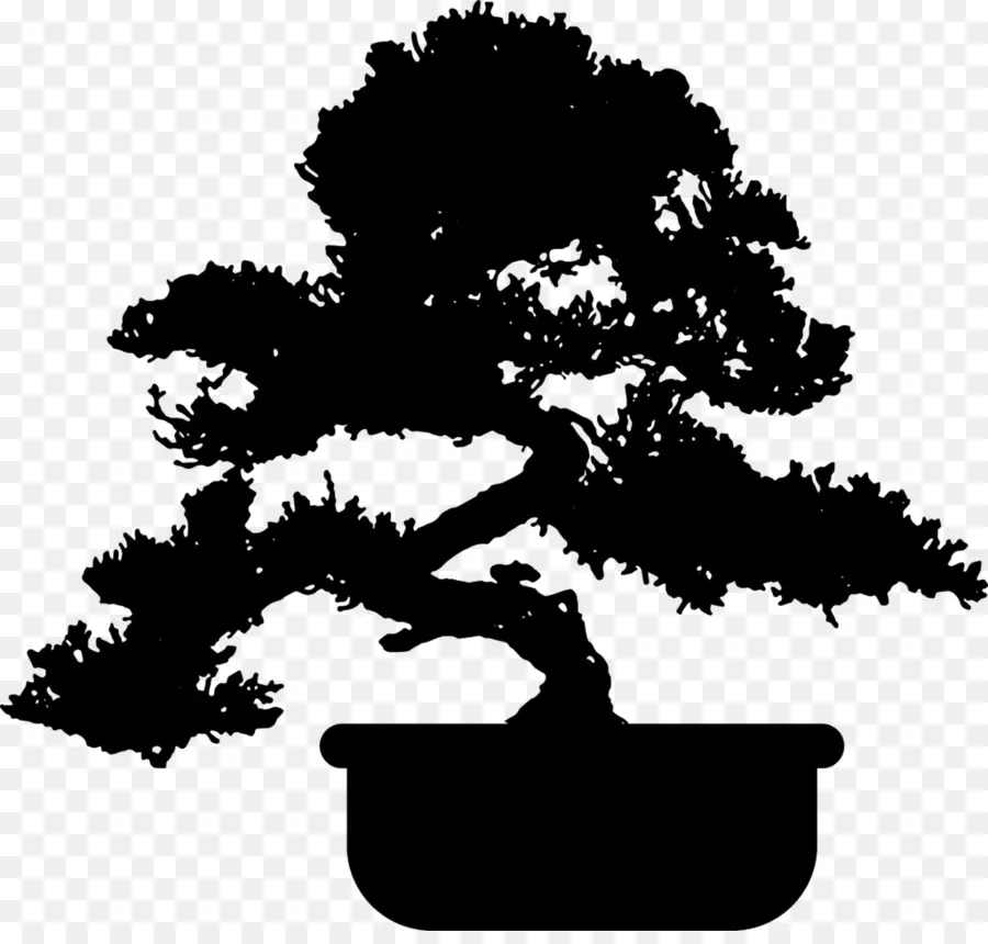 Bonsai Ağacı，Siluet PNG