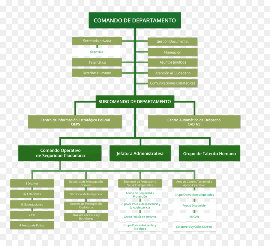 Kolombiya Bölümleri，Organizasyon şeması PNG