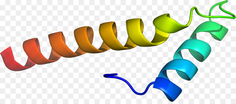 Protein Sarmalı，Molekül PNG