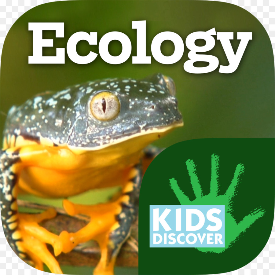 çocuklar Keşfetmek，Inanılmaz Adaptasyon PNG