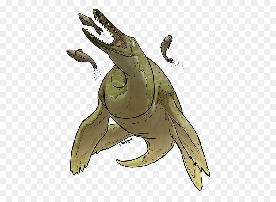 Tyrannosaurus，Kaplumbağa PNG