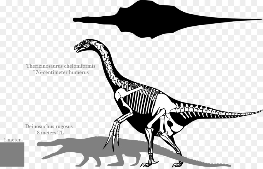 Tyrannosaurus，Therizinosaurus PNG