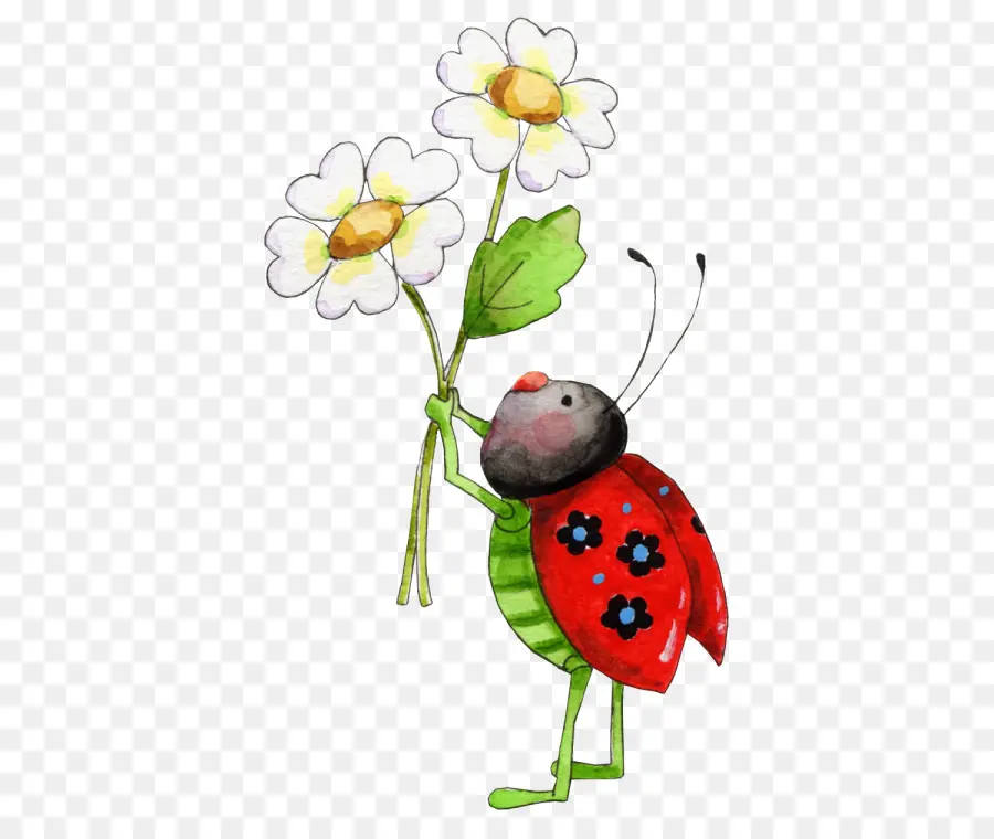 Böcek，Ladybird Böceği PNG