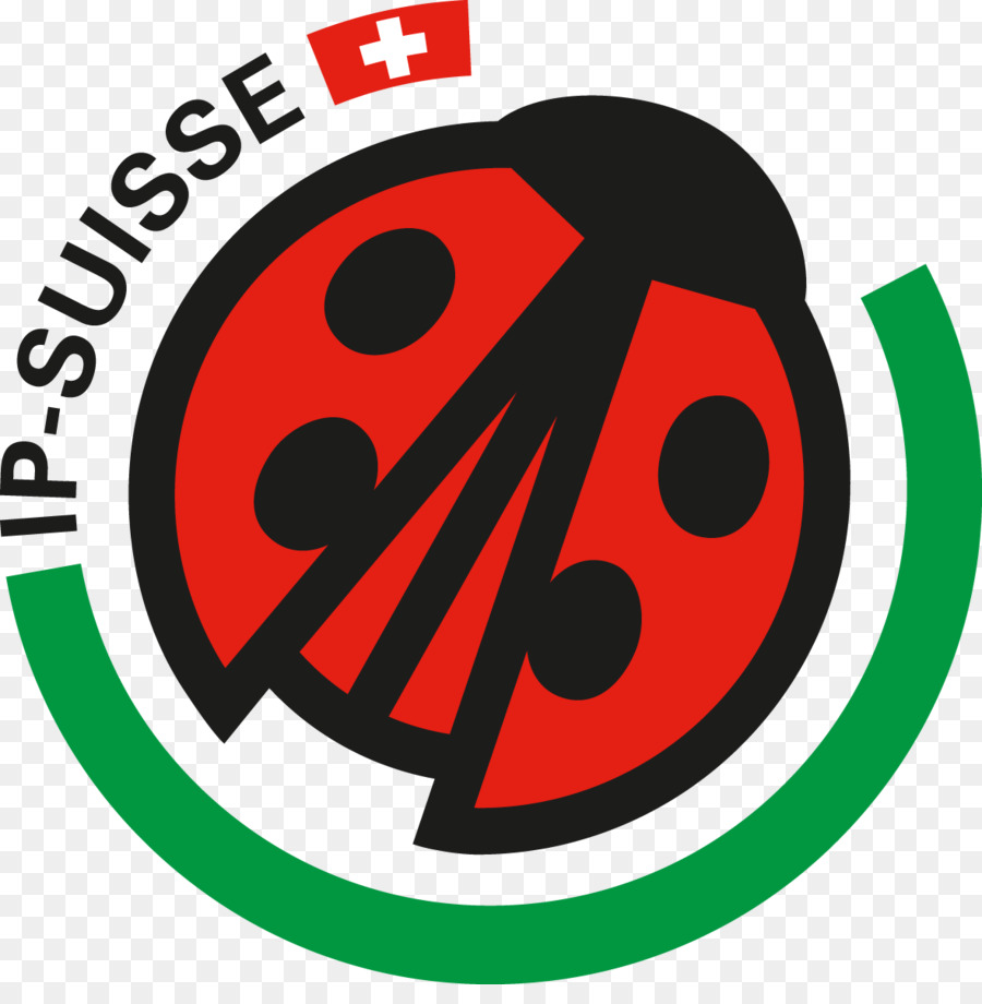 Ipsuisse，Modyan Yazılım Ateşi PNG