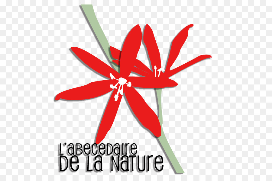 Logo，çiçekli Bitki PNG