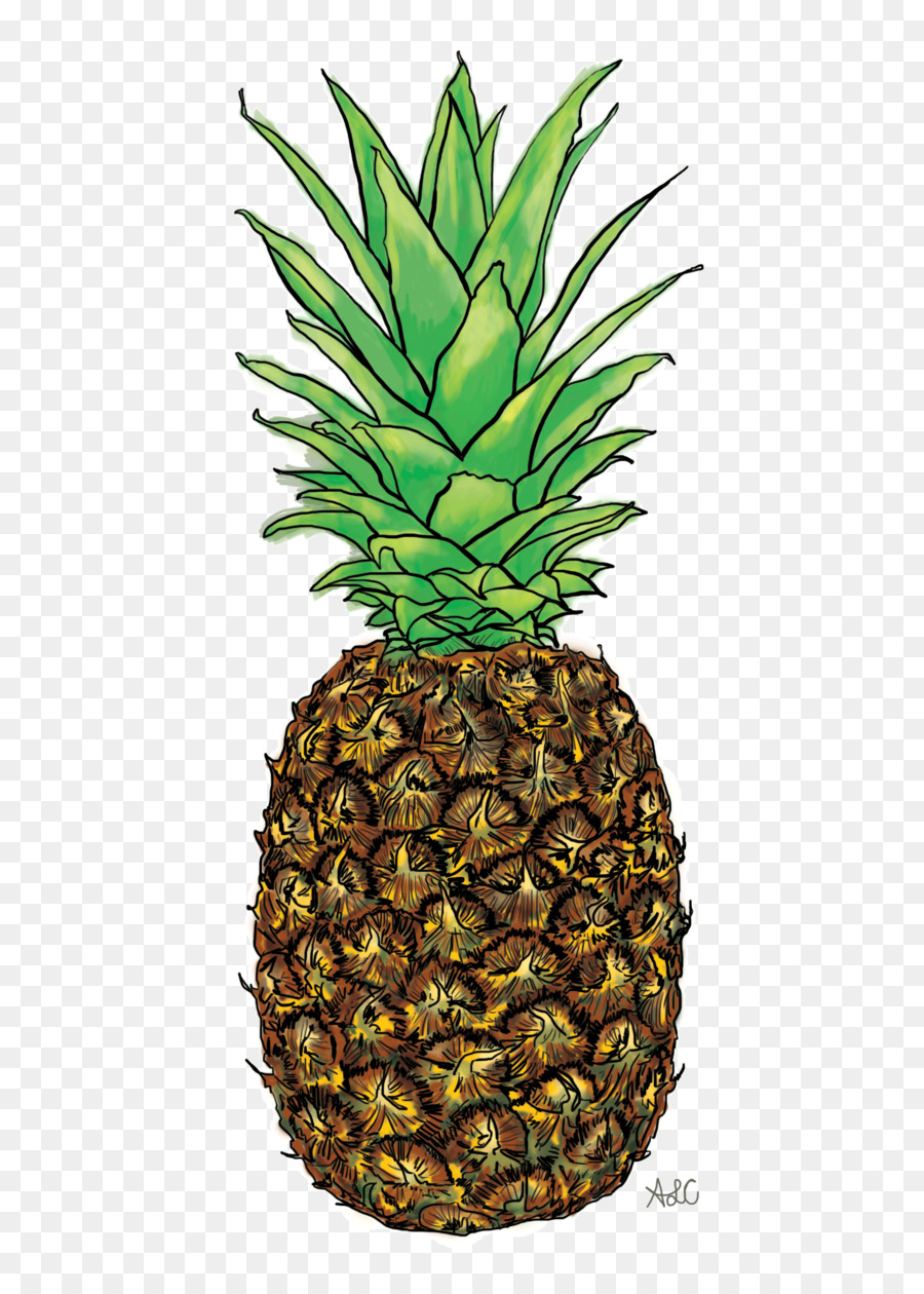Ananas，Grafik Tasarım PNG