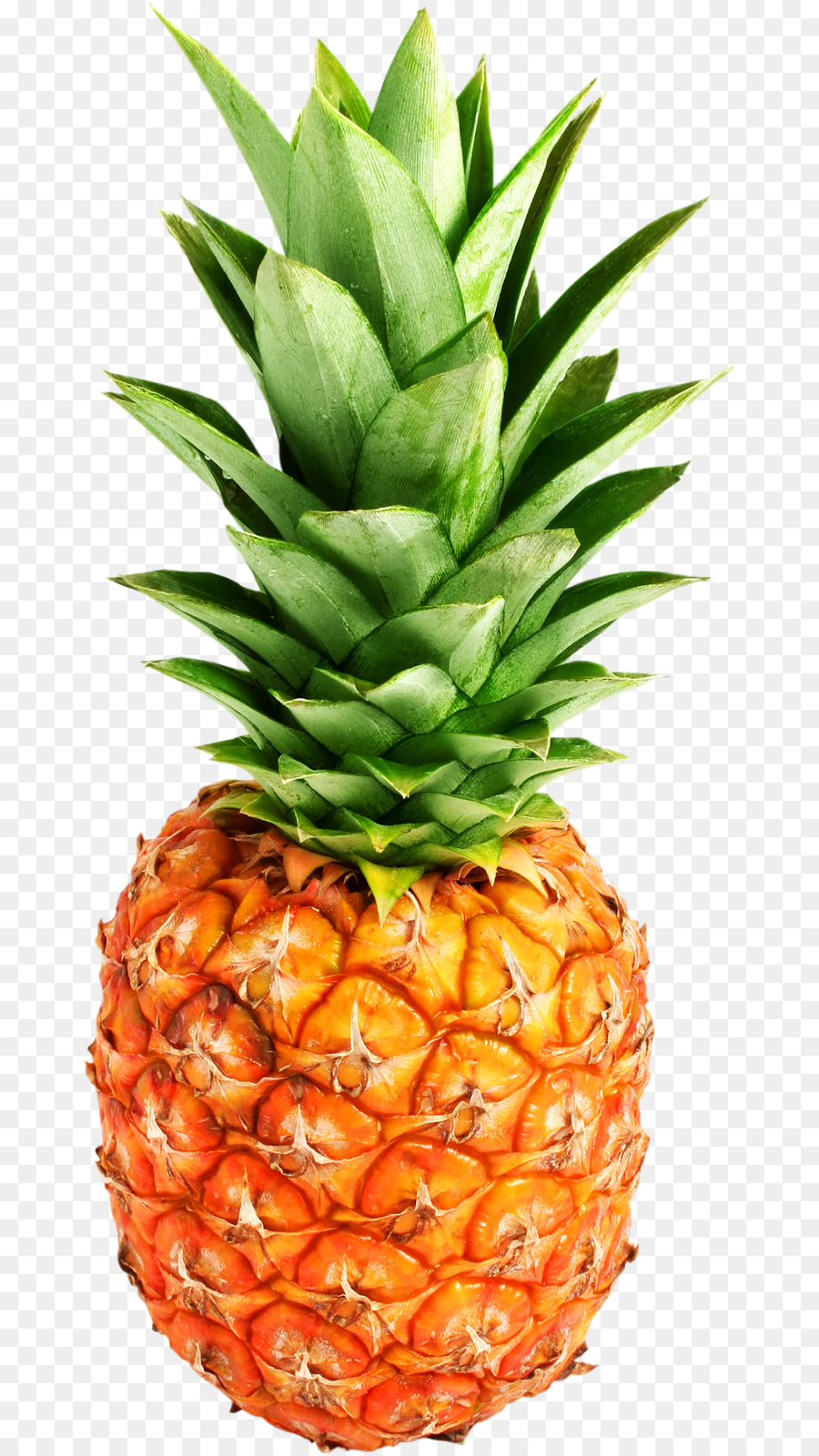 Mavi Ananas，Meyve PNG