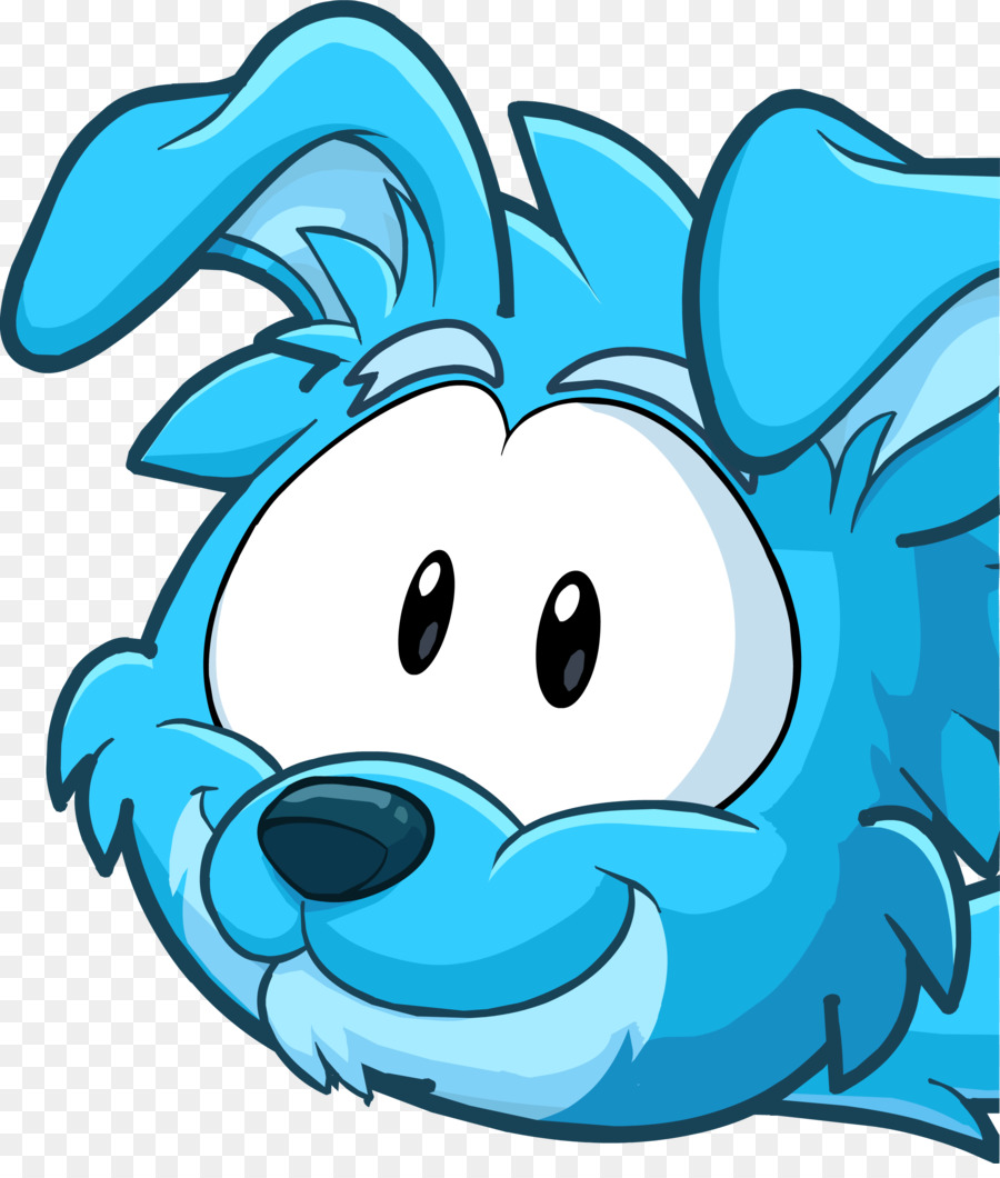 Sınır Collie，Kaba Collie PNG