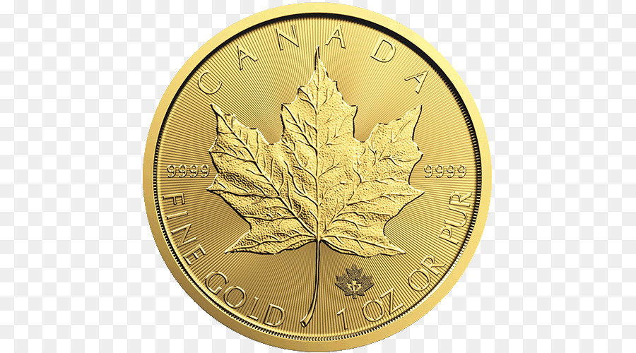 Kanada，Kanada Altın Maple Leaf PNG