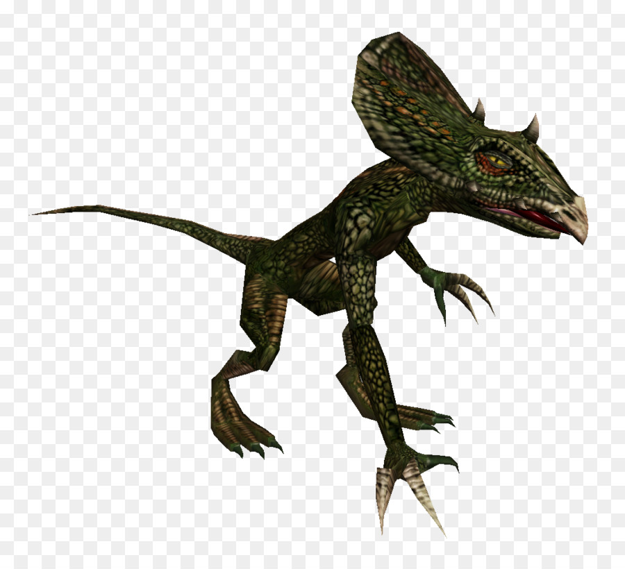 Ejderha Kertenkele，Velociraptor PNG