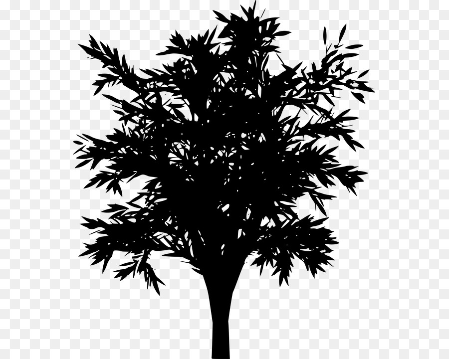 Ağaç，Siyah PNG