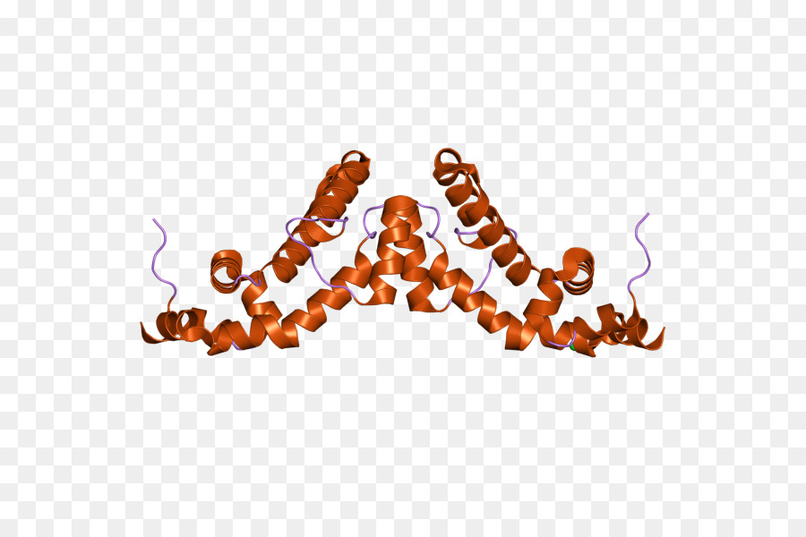 Rgs7，Protein PNG