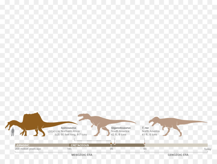 Spinosaurus，Giganotosaur PNG