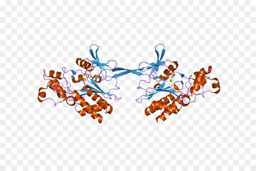 Gstm2，Glutatyon Stransferase PNG