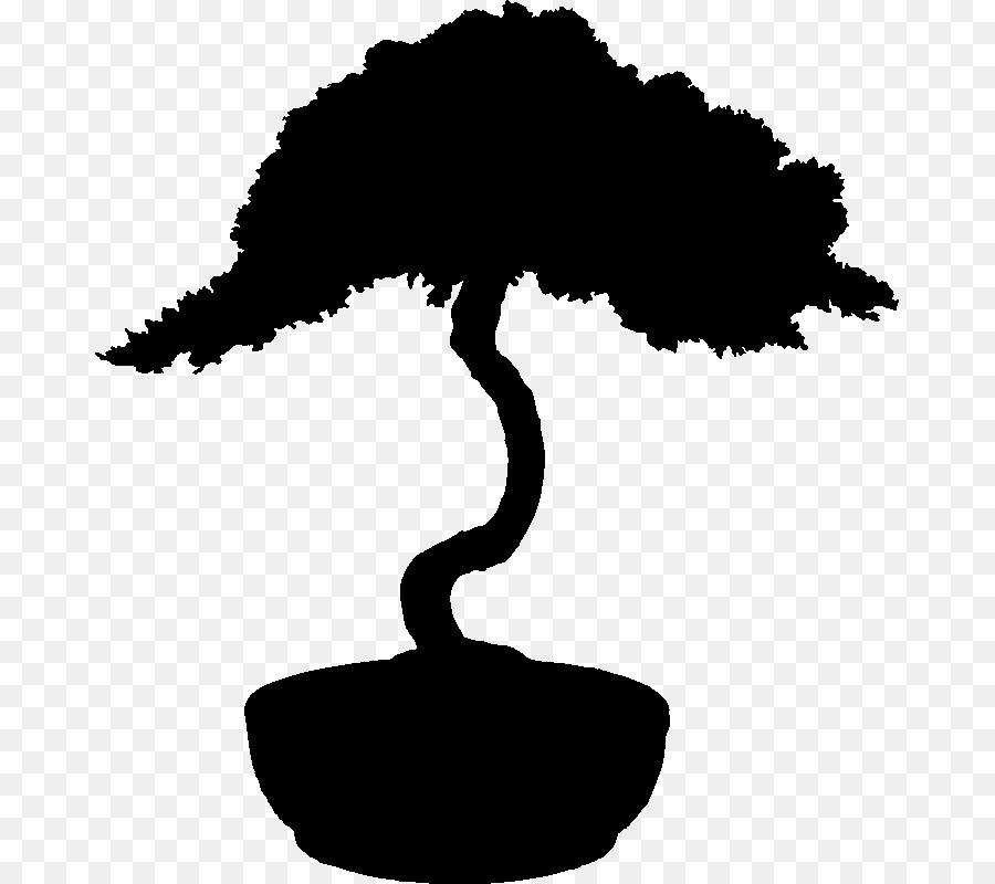 Bonsai Ağacı，Minyatür PNG