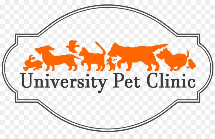 Üniversitesi Hayvan Kliniği，Brunetto Kitleler PNG