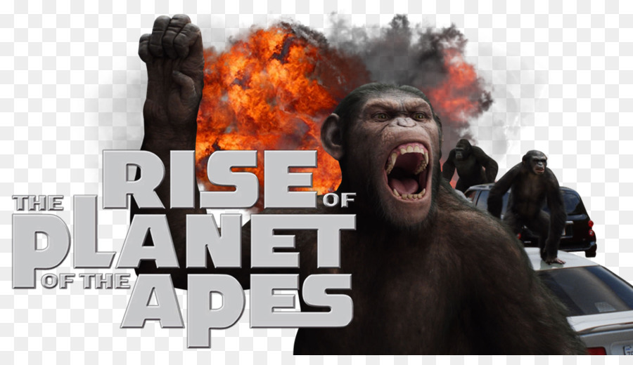 Planet Of The Apes，2011 PNG