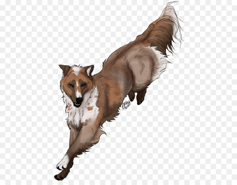 Köpek ırkı，Köpek PNG